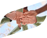 Collaborazione
